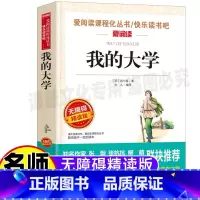 [正版]我的大学高尔基文集原著小学生青少年三四五六年级上下册通用彩图插画版课外书无障碍精读版名师导读带批注天地出版社立