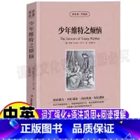 [正版]少年维特之烦恼英文版原版中英文对照双语版英汉互译读名著学英语系列青少年初中高中生必读课外书歌德原著张荣超译吉林