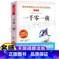 [正版]一千零一夜书籍阿拉伯民间故事书完整版五年级快乐读书吧名师导读带批注立人主编天地出版社小学生三年级四五六年级