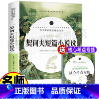 [正版]契诃夫短篇小说全集选原著完整版青少年初中高中生必读经典文学名著课外书王玥译开明出版社汪晓凤精评名师导读带批注考