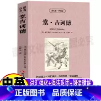 [正版]唐堂吉诃德英文版原版中英文对照双语版英汉互译青少年初中高中生必读经典文学课外书读名著学英语系列吉林出版社集团张