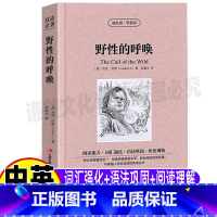 [正版]野性的呼唤英文版原版中英文对照双语版英汉互译青少年初中高中必读英语名著书文学经典杰克伦敦动物小说全集吉林出版集