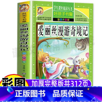 [正版]爱丽丝漫游奇境记六年级下册快乐读书吧必读小学生课外书彩图美绘插画好孩子书屋名师导读带批注读后感黑龙江美术出版社