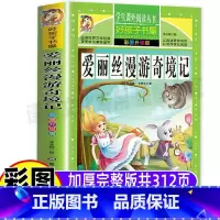 [正版]爱丽丝漫游奇境记六年级下册快乐读书吧必读小学生课外书彩图美绘插画好孩子书屋名师导读带批注读后感黑龙江美术出版社