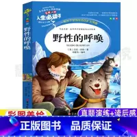 [正版]野性的呼唤杰克伦敦全集动物小说彩图美绘插画版小学生青少年三四五六年级文学名著名师导读带批注读后感邓敏华译吉林大
