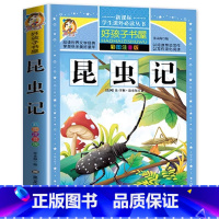 昆虫记 [正版]昆虫记全册法布尔原著注音版一年级二年级三年级上下册导读版全集彩图美绘完整版儿童拼音黑龙江美术出版社名师批