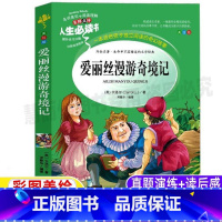 [正版]爱丽丝漫游奇境记书六年级必读小学生三四无年级上下册通用课外书彩图美绘插画版名师导读带批注读后感山东美术出版社邓