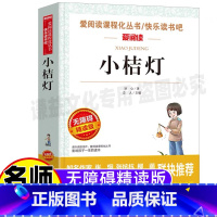 [正版]冰心作品全集小桔灯原师导读带批注无障碍精读版立人主编天地出版社小学生三年级四五六年级课外书