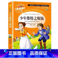 少年维特之烦恼 [正版]少年维特之的烦恼山东美术出版社邓敏华编译彩图美绘插画版小学生青少年三四五六年级必读课外书名师导读