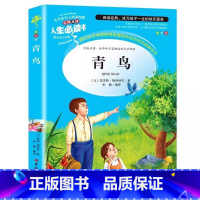 青鸟 [正版]青鸟书小学生青少年三四年级上下册通用必读彩图美绘插画版文学课外书名师导读带批注读后感吉林大学出版社张勤编译