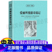 [正版]爱丽丝漫游奇境记英文版中英文双语对照英汉互译课外书读名著学英语系列青少年中小学生必读世界经典文学名著吴朝华译吉