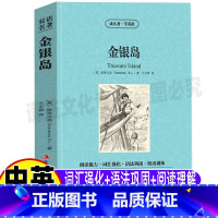 [正版]金银岛英文原版中英文双语版对照英汉互译王志娇译吉林出版集团青少年课外书读名著学英语系列斯蒂文森原著初中高中生阅