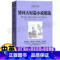 [正版]契诃夫中短篇小说全集精选故事英文版原版中英文对照双语版英汉互译读名著学英语系列吉林出版社集团青少年初中高中生书