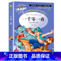 一千零一夜 [正版]一千零一夜书籍三年级四年级五年级必读故事书快乐读书吧课外书彩图美绘插画名师导读带批注读后感上下册通用