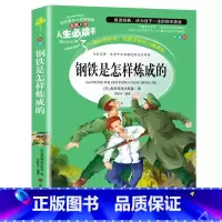 钢铁是怎样炼成的 [正版]钢铁是怎样炼成的原著完整版无删减小学生青少年六年级必读彩图美绘插画版三四五年级课外书名师导读带