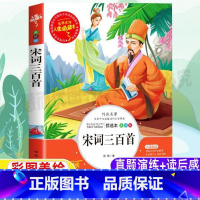 [正版]宋词三百首全解插图版全集小学生青少年三四五六年级必读原文译注带翻译读后感课外书彩图美绘版鉴赏析张琪编著山东美术