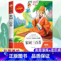 [正版]宋词三百首全解插图版全集小学生青少年三四五六年级必读原文译注带翻译读后感课外书彩图美绘版鉴赏析张琪编著山东美术