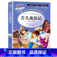 苦儿流浪记 [正版]苦儿流浪记原著书作家榜彩图美绘插画版小学生青少年三四五六年级必读课外书名师导读带批注读后感山东美术出