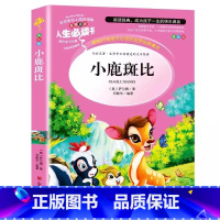 小鹿斑比 [正版]小鹿斑比山东美术出版社三年级课外书小学生青少年必读彩图美绘插画版名师导读带批注读后感邓敏华编四五六年级