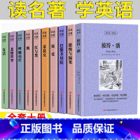 全套10册[中英文版] [正版]小飞侠彼得潘英文版傲慢与偏见原著英语中英对照呼啸山庄悲惨世界巴黎圣母院英文版原版英汉互译
