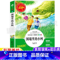 [正版]围墙里的小柯薛涛著彩图美绘版名师导读带批注读后感小学生三年级四五六年级上下册通用课外书吉林大学出版社
