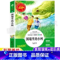 [正版]围墙里的小柯薛涛著彩图美绘版名师导读带批注读后感小学生三年级四五六年级上下册通用课外书吉林大学出版社