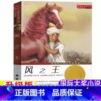 风之王[新蕾出版社] [正版]风之王课外书新蕾出版社国际大奖小说升级版非注音版赵水芬译玛格莉特亨利著小学生3456三四五