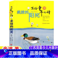 柔软的阳光 [正版]柔软的阳光三年级必读非注音版金波著写给童年的诗儿童诗选江苏凤凰少年儿童出版社柔软的阳光书小学生3三年