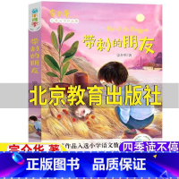带刺的朋友 [正版]带刺的朋友北京教育出版社二年级三年级必读课外书非注音版宗介华原著小学生青少年童年四季读不停系列课外文