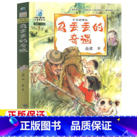 乌丢丢的奇遇 [正版]乌丢丢的奇遇金波著彩绘插图版原著完整版小学生三年级四五六年级上下册通用必读课外书籍