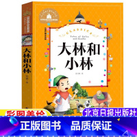 大林和小林 [正版]大林和小林美绘注音版一年级二年级三年级上下册通用课外书张天翼著彩图美绘带拼音插图版儿童小学生北京日报