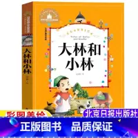 大林和小林 [正版]大林和小林美绘注音版一年级二年级三年级上下册通用课外书张天翼著彩图美绘带拼音插图版儿童小学生北京日报