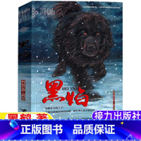 黑焰 [正版]黑焰书五年级六年级文学类bi读格日勒其木格·黑鹤原著动物小说完整版小学5-6五六年级上下册阅读目录接力出版