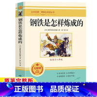 钢铁是怎样炼成的 [正版]钢铁是怎样炼成的初中原著无删减全本名著课程化精批精注本阅读丛书名师导读带批注读后感初中生二年级