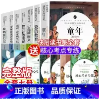六年级全套七册[考点手册] [正版]六年级上下册快乐读书吧全套书七册童年书名师导读带批注读后感考点爱的教育小英雄雨来