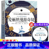 爱丽丝漫游奇境 [正版]爱丽丝漫游奇境记书爱丽丝梦游仙境书刘易斯卡罗尔原著完整无删减版名师导读带批注读后感考点六年级下册