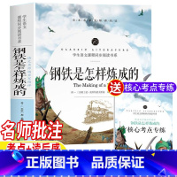 钢铁是怎样炼成的 [正版]钢铁是怎样炼成的初中原著无删减完整版八年级必读课外书初中生版初二年级名师导读带批注读后感考点考