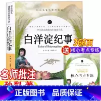 白洋淀纪事 [正版]白洋淀纪事七年级必读课外书孙犁著原著完整无删减版名师导读带批注考点考题无障碍阅读初一七年级上册下册通