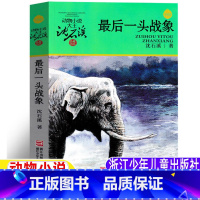 最后一头战象 [正版]后一头战象沈石溪著文学类课外书浙江少年儿童出版社五年级下册三四五六年级上册下册通用完整版动物小说典