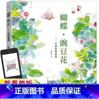 蝴蝶·豌豆花 [正版]蝴蝶豌豆花中国经典童诗一年级二年级非注音版上册下册通用陕西人民教育出版社配套音频绘本故事书