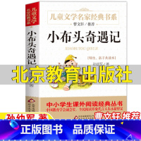 小布头奇遇记 [正版]小布头奇遇记北京教育出版社孙幼军著曹文轩三年级四年级上下册通用小学3-4三四年级学校阅读目录清北阅