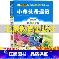 小布头奇遇记 [正版]小布头奇遇记北京教育出版社注音版孙幼军著刘敬余主编一年级二年级三四年级上册下册通用小书虫阅读系列班