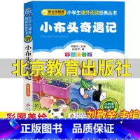 小布头奇遇记 [正版]小布头奇遇记北京教育出版社注音版孙幼军著刘敬余主编一年级二年级三四年级上册下册通用小书虫阅读系列班