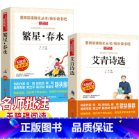 繁星·春水+艾青诗选 [正版]冰心繁星春水艾青诗选四年级下册现代诗歌两册人民教育出版社配套阅读立人编名师导读带批注读后感