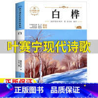 白桦[叶赛宁现代诗] [正版]白桦叶赛宁现代诗歌四年级下册现代诗歌选集人民教育出版社配套阅读北方妇女儿童出版社4四年级下