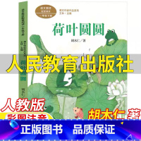 荷叶圆圆 [正版]荷叶圆圆人民教育出版社胡木仁著一年级下册语文配套阅读人教版彩图注音版王林主编课文作家作品系列儿童文学小