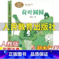 荷叶圆圆 [正版]荷叶圆圆人民教育出版社胡木仁著一年级下册语文配套阅读人教版彩图注音版王林主编课文作家作品系列儿童文学小