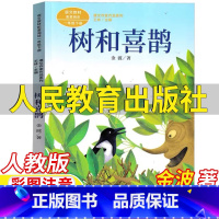 树和喜鹊 [正版]金波树和喜鹊书人民教育出版社一年级下册金波著人教版彩图注音版语文配套阅读王林主编课文作家作品系列儿童小