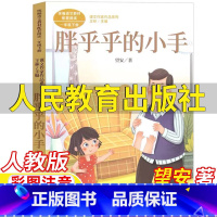 胖乎乎的小手 [正版]胖乎乎的小手人民教育出版社望安著人教版彩图注音版一年级下册语文配套阅读王林主编课文作家作品系列儿童