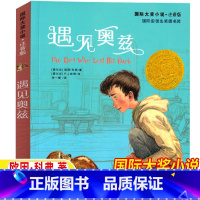 遇见奥兹 [正版]遇见奥兹新蕾出版社注音版小学生一年级二年级三年级课外书天津出版传媒国际大奖小说儿童小学生版